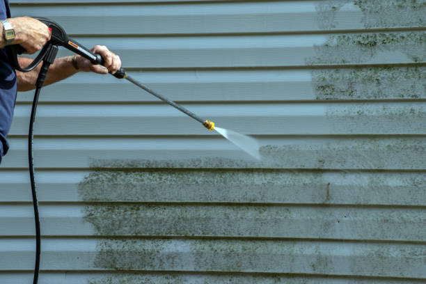 Best Roof Washing  in Kempner, TX